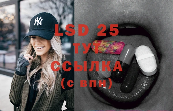 прущие грибы Мегион
