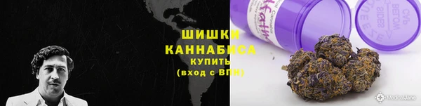 мдпв Медногорск