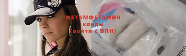 прущие грибы Мегион
