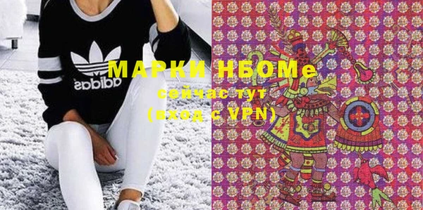 прущие грибы Мегион