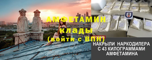 прущие грибы Мегион