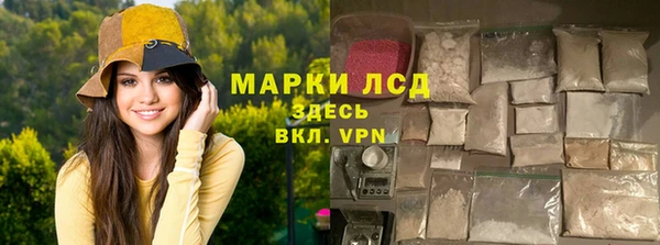 прущие грибы Мегион