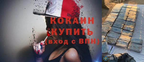 прущие грибы Мегион