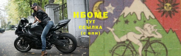 прущие грибы Мегион