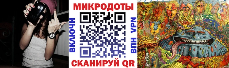 Галлюциногенные грибы Cubensis Пионерский